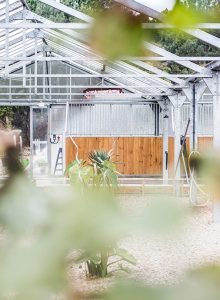 ecuries-landes-02