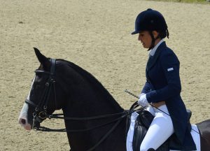 cheval-competition-01