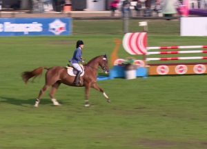 cheval-competition-02